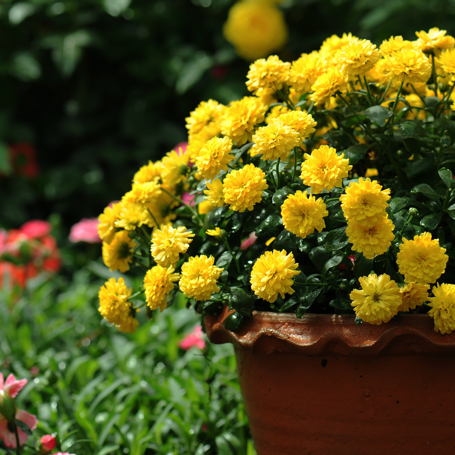 Let’s Embrace the Summer to Autumn Transition