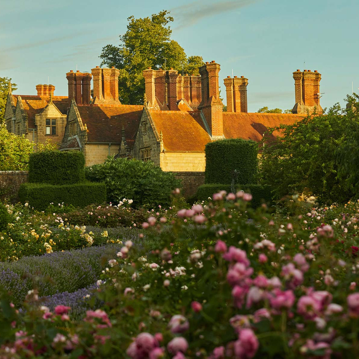 Borde Hill Garden Festival Announcement