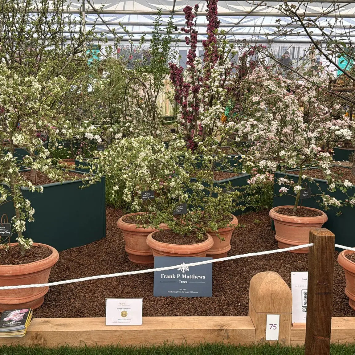 Chelsea Flower Show 2026