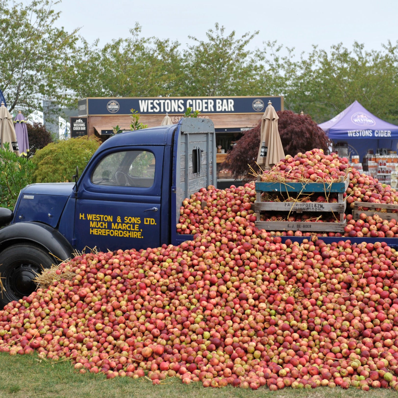 One Week Until The 2025 Malvern Autumn Show