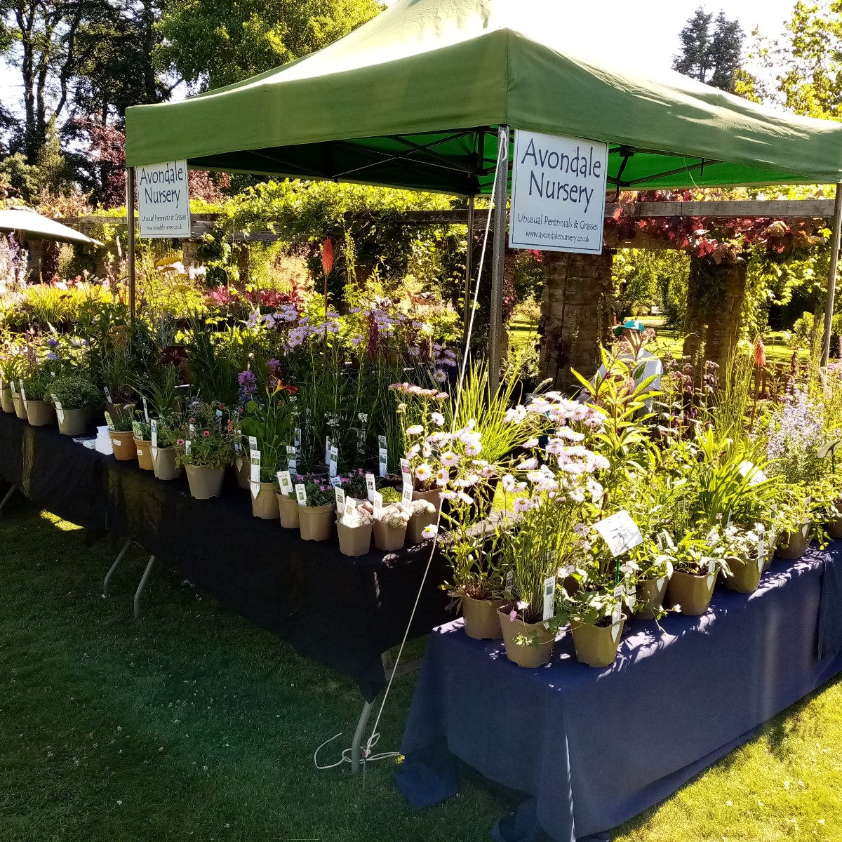 Lets Talk... Plant Fairs!