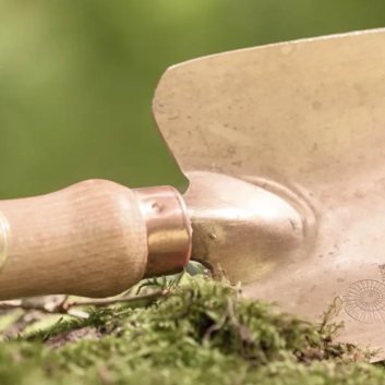 Introducing The New Bronze Tool Collection