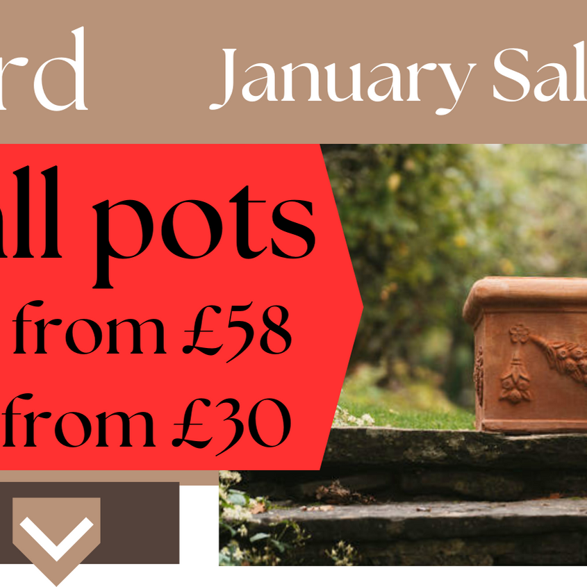 January Pots Sale LIVE