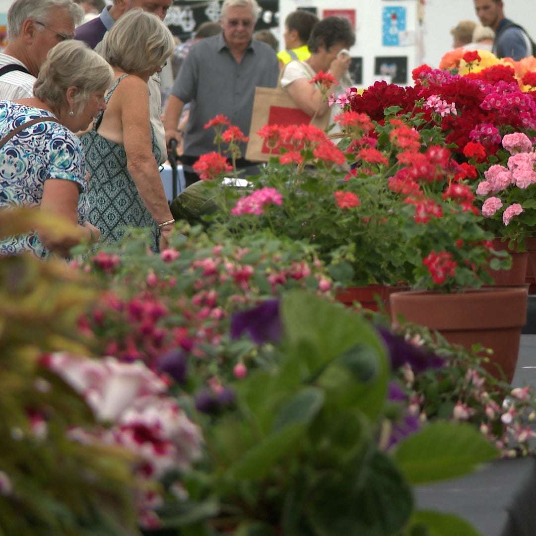 Tom's Yard @ The Taunton Flower Show