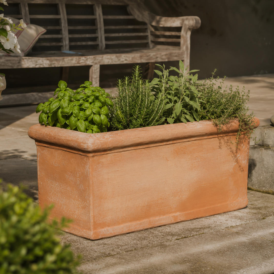HOW TO GROW HERBS IN TERRACOTTA POTS