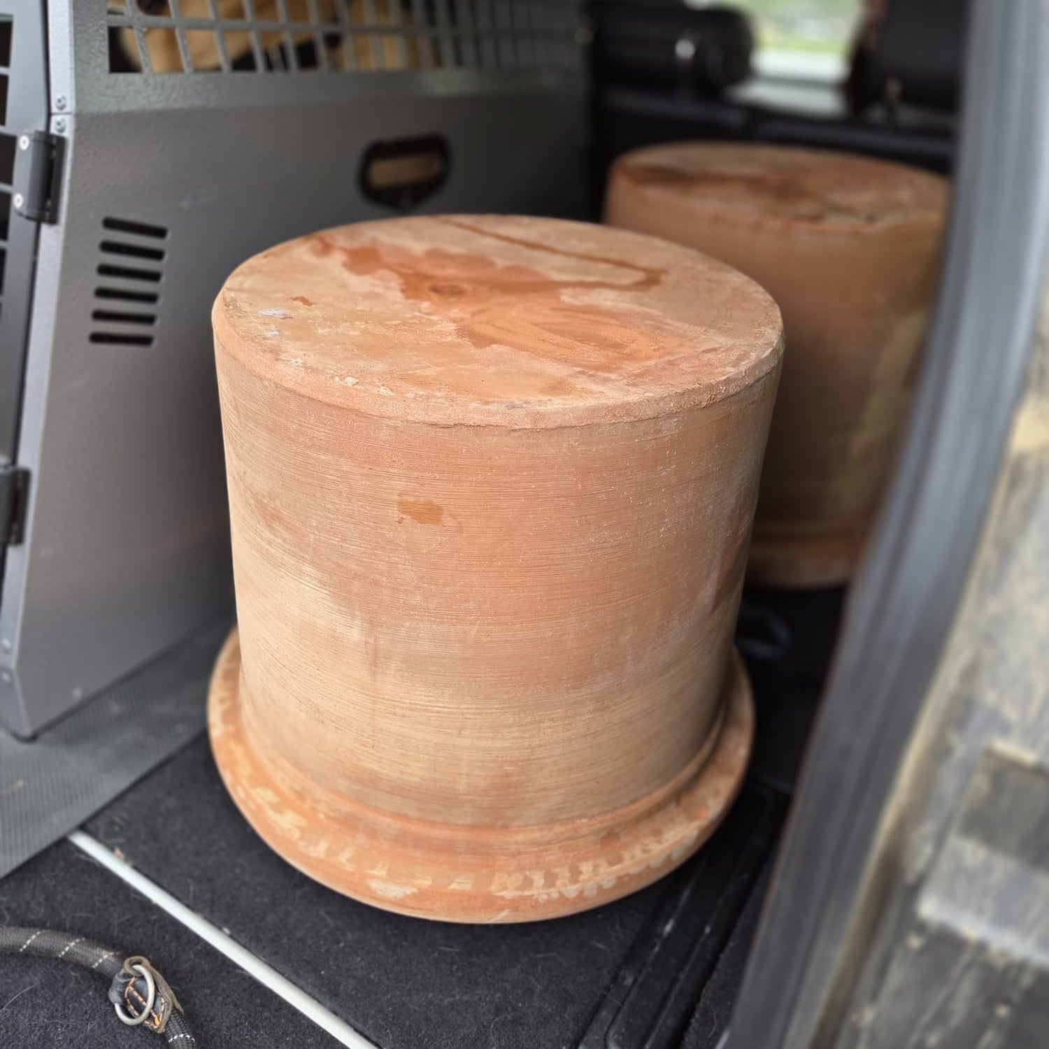 Launch Of ''Cash & Carry'' Programme