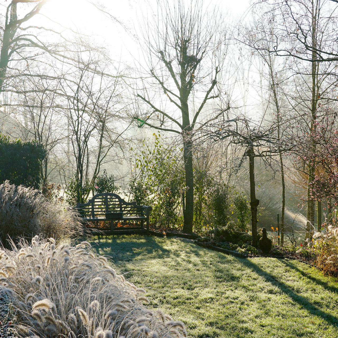 Thomas' Christmas Sign-Off