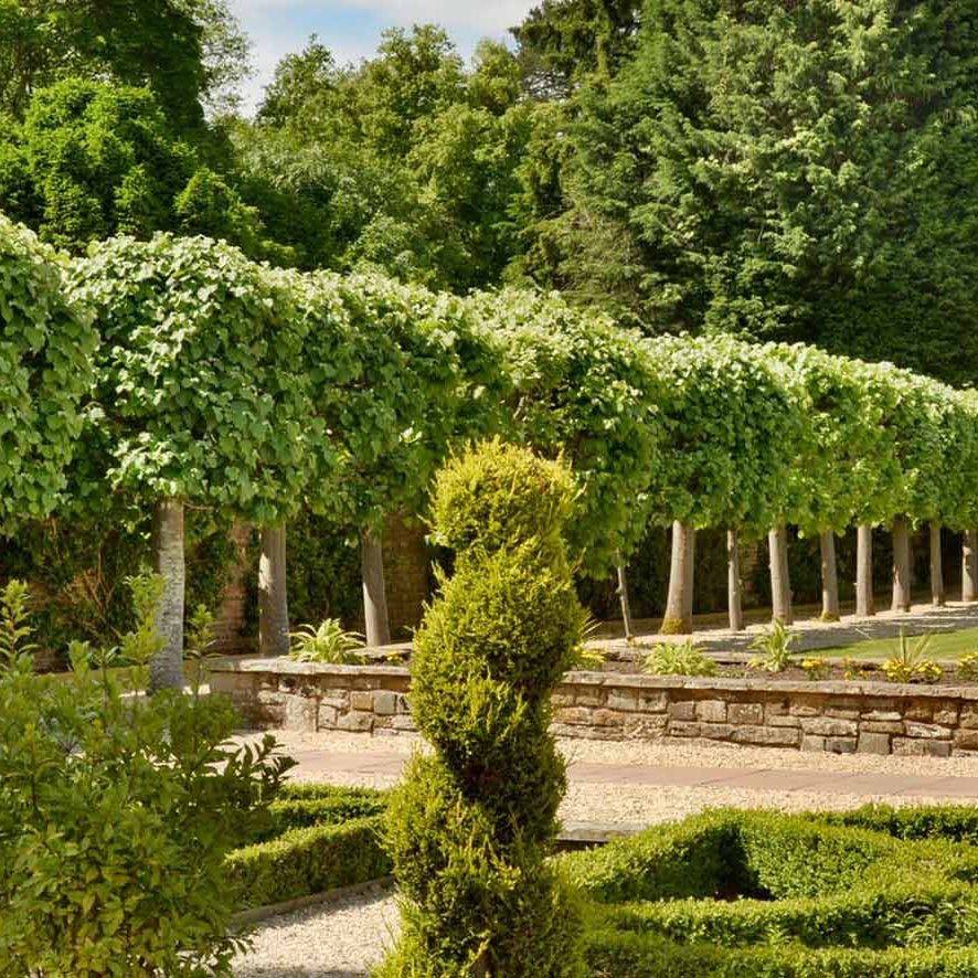 27th May, Plant Hunters Fair @ Arley Arboretum & Gardens