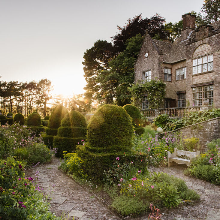 Now Live! 2026 Wyndcliffe Court Garden School Bookings