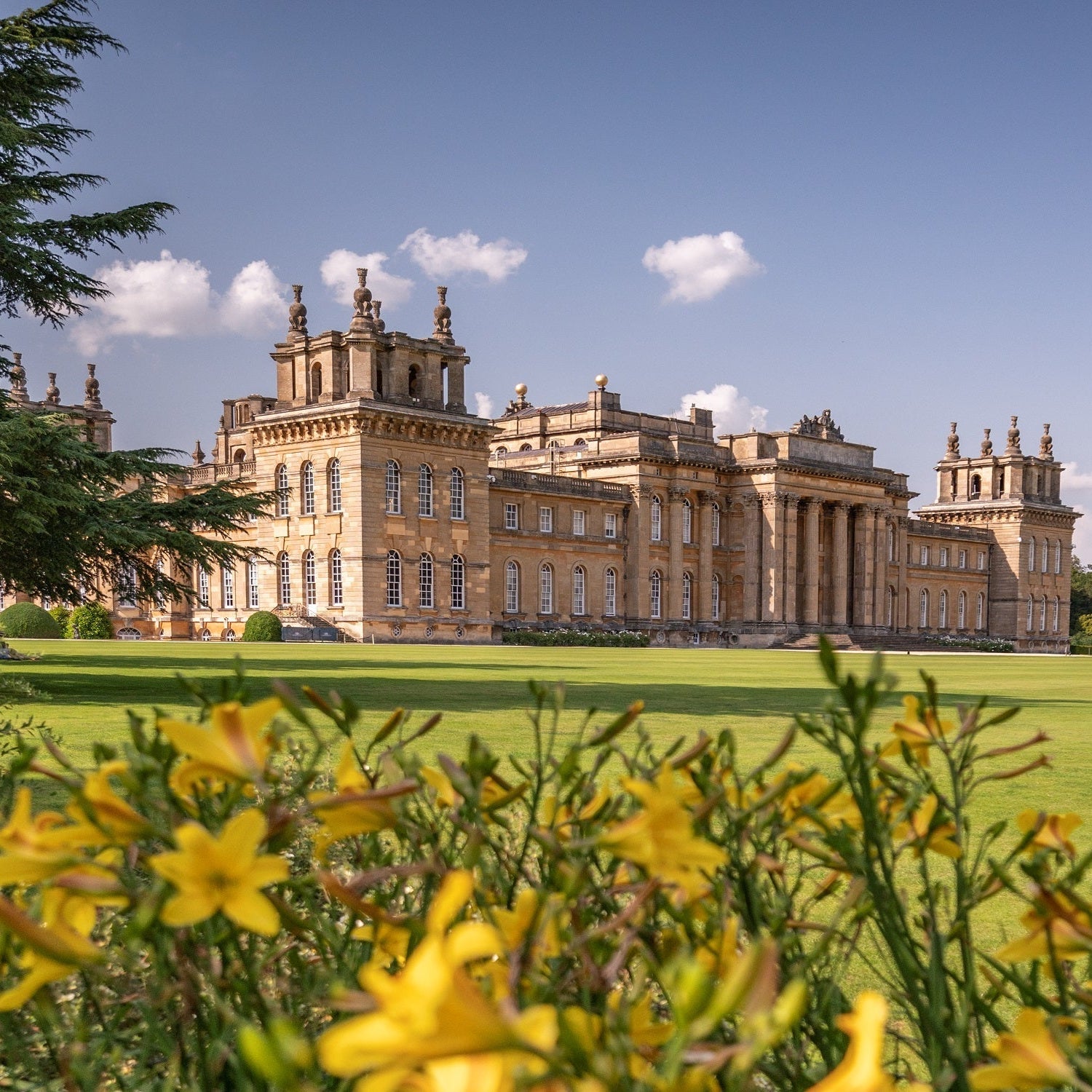 Tom's Yard is Heading to the Game Fair