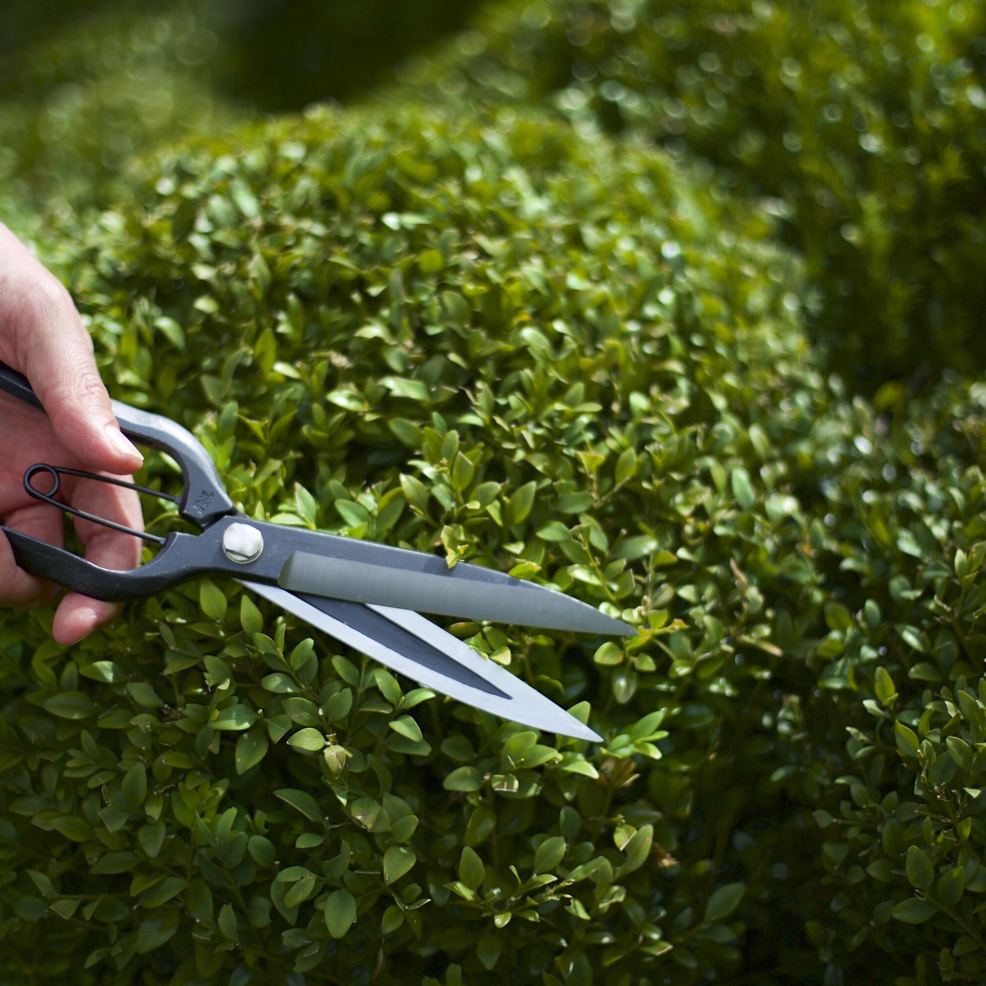 Introducing the Niwaki Sentei Clippers