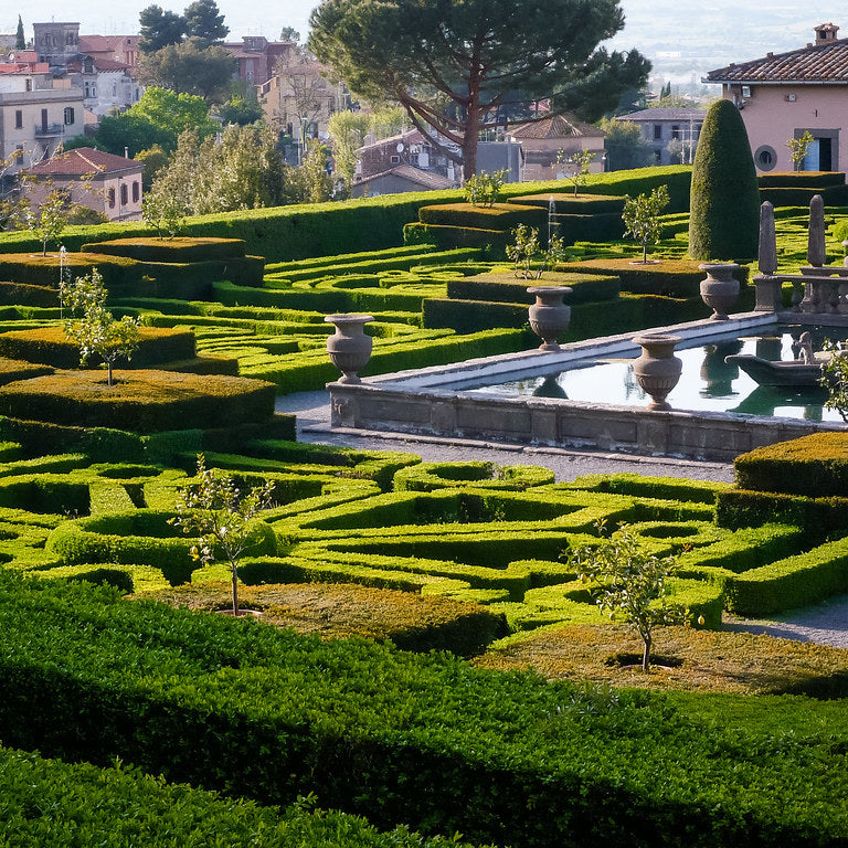 Italian Terracotta Pots