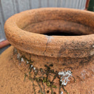 Antique Terracotta Urn on Stand 8 - Tom's Yard