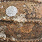 Antique Terracotta Urn on Stand 8 - Tom's Yard