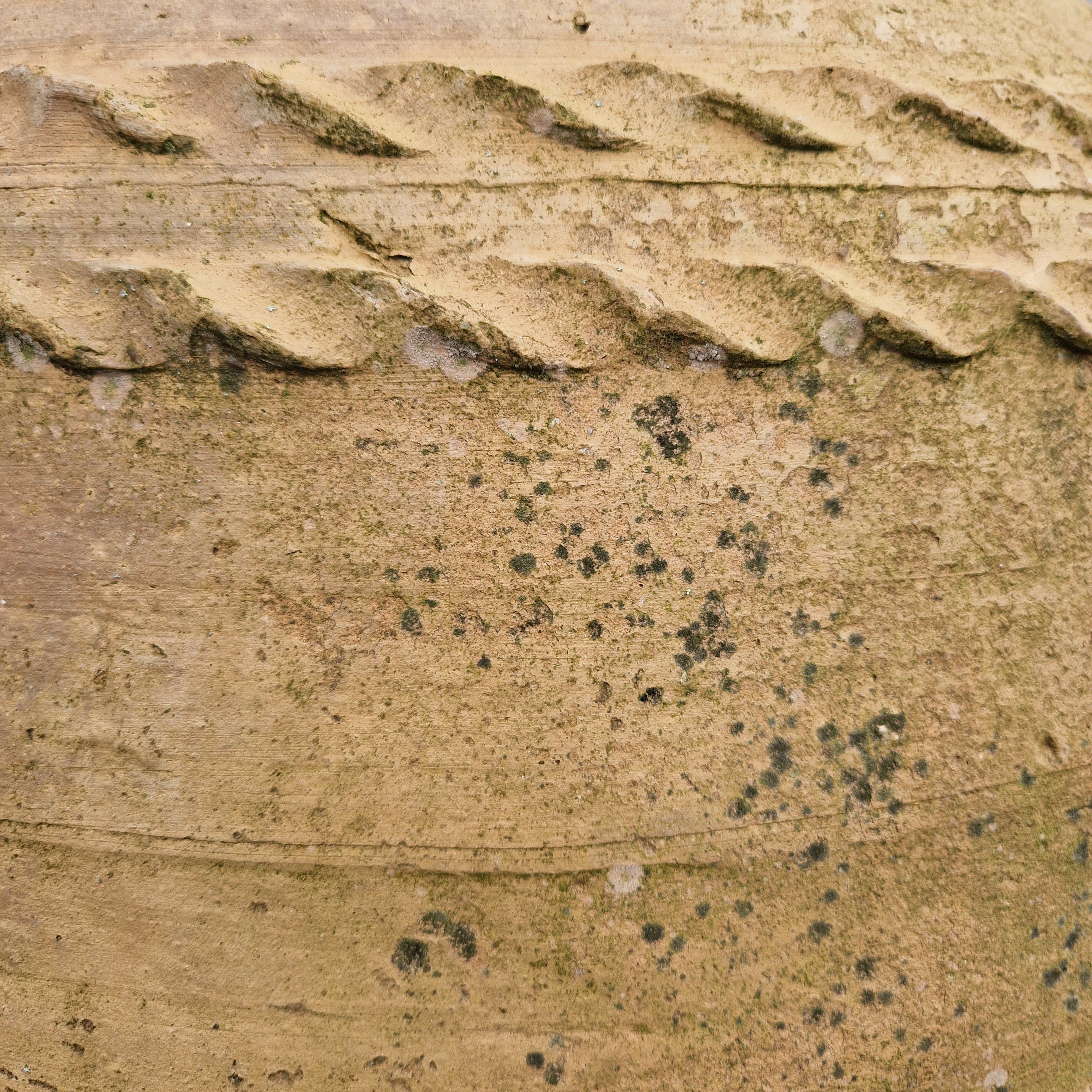 Antique Terracotta Urn on Stand 3 - Tom's Yard