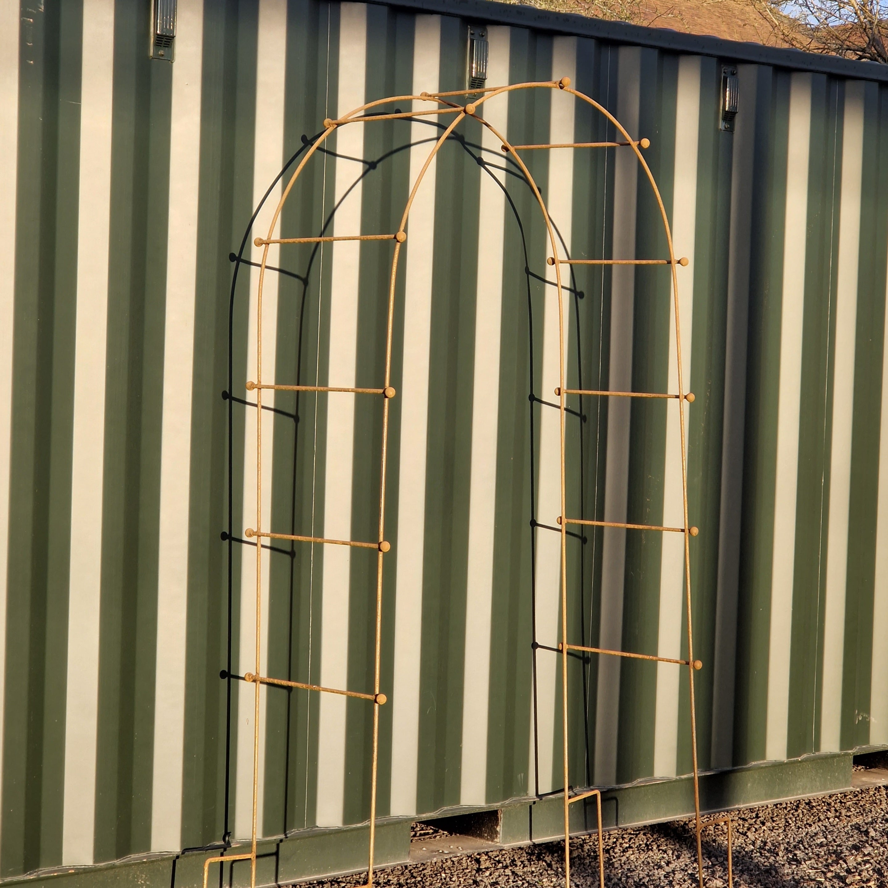 The Flora Rose Arch - Tom's Yard