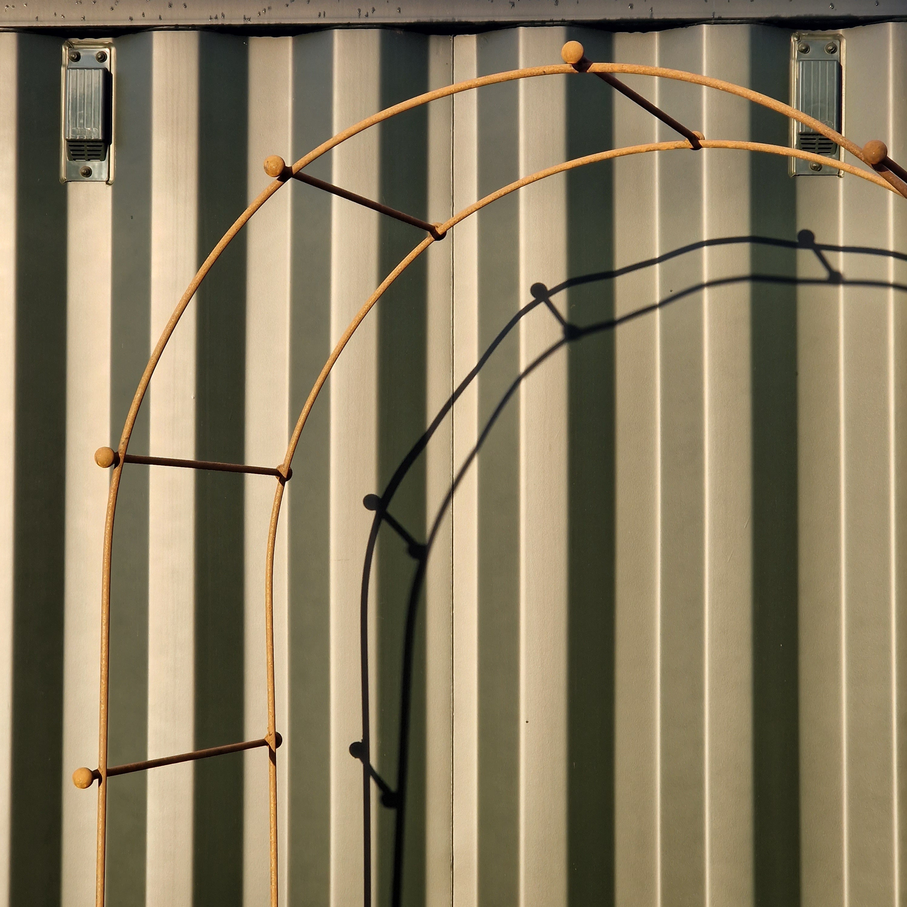 The Flora Rose Arch - Tom's Yard