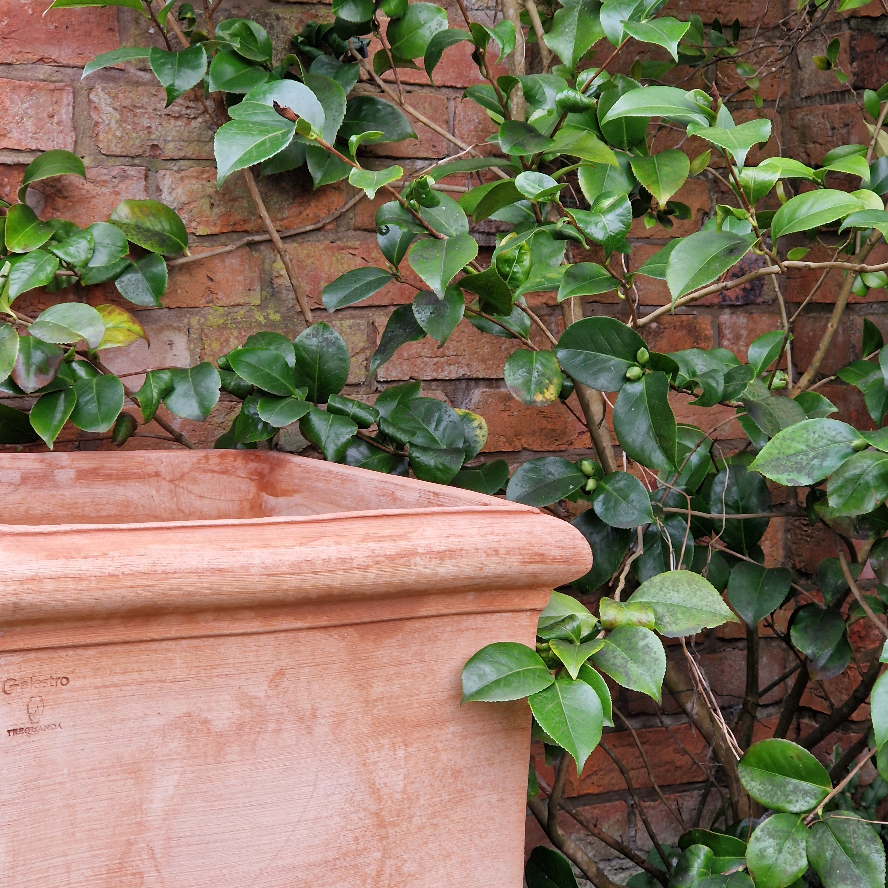 Dante Italian Terracotta Cube Planters - Tom's Yard