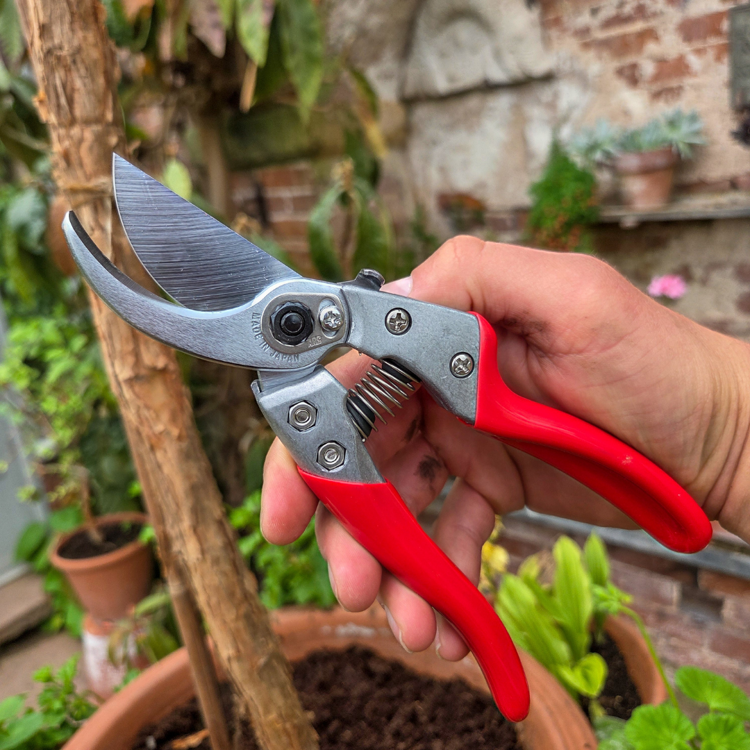 Professional Grade Japanese Secateurs - Tom's Yard