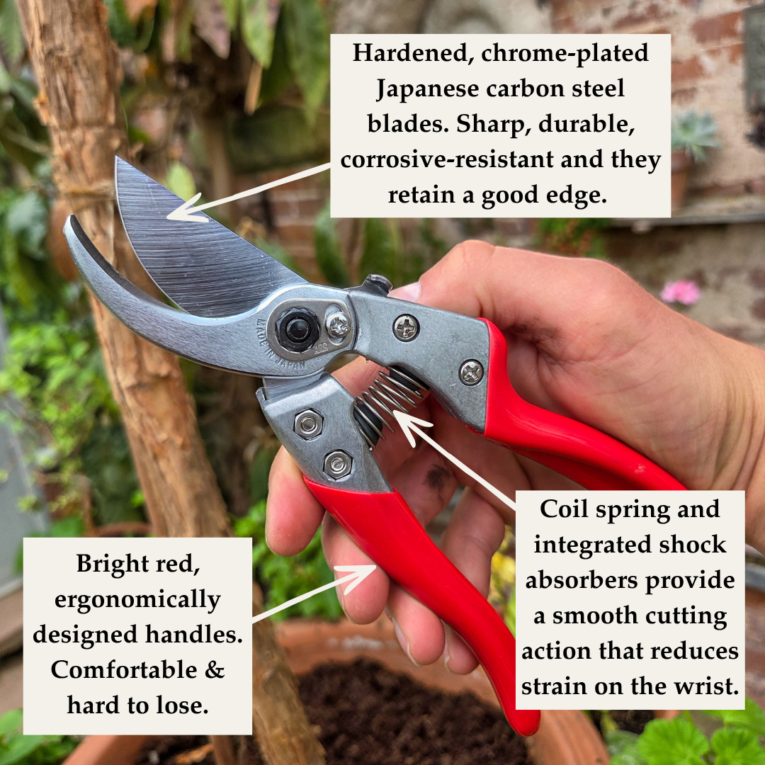 Professional Grade Japanese Secateurs - Tom's Yard
