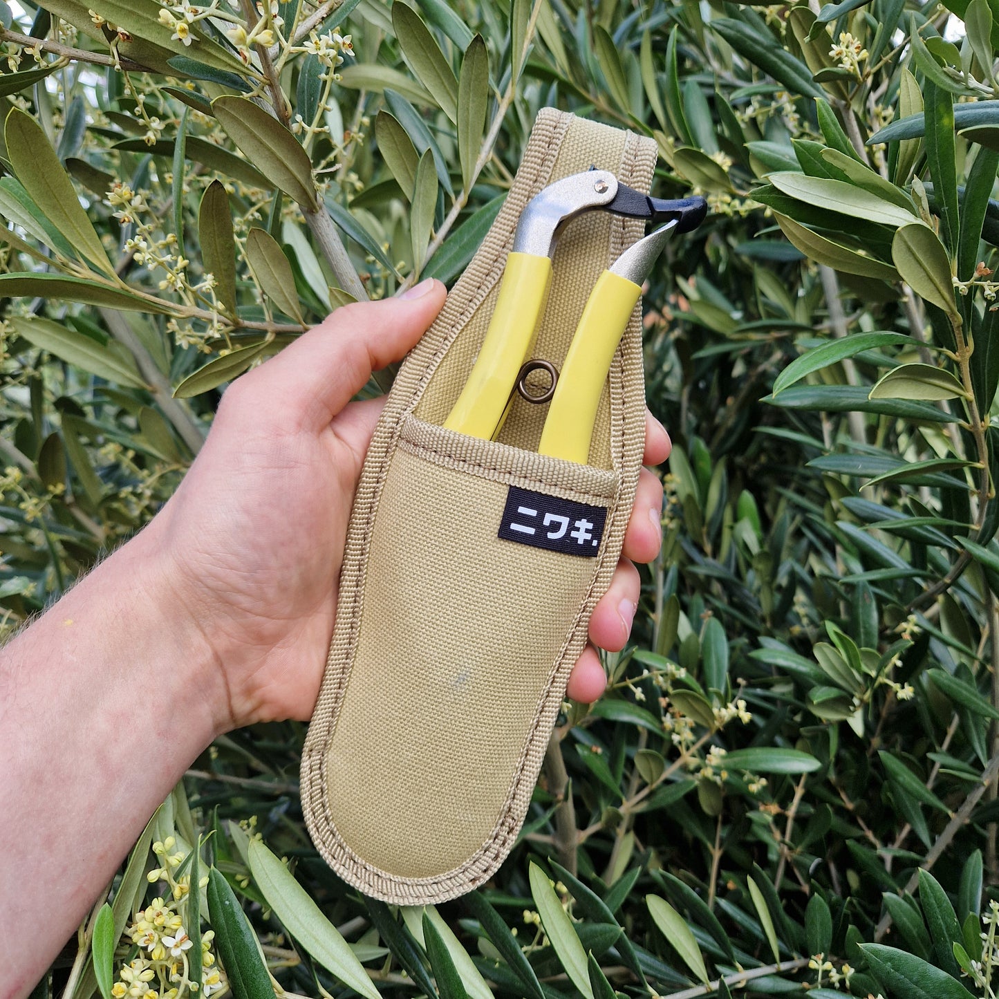 Niwaki Daikiba Secateurs - Tom's Yard
