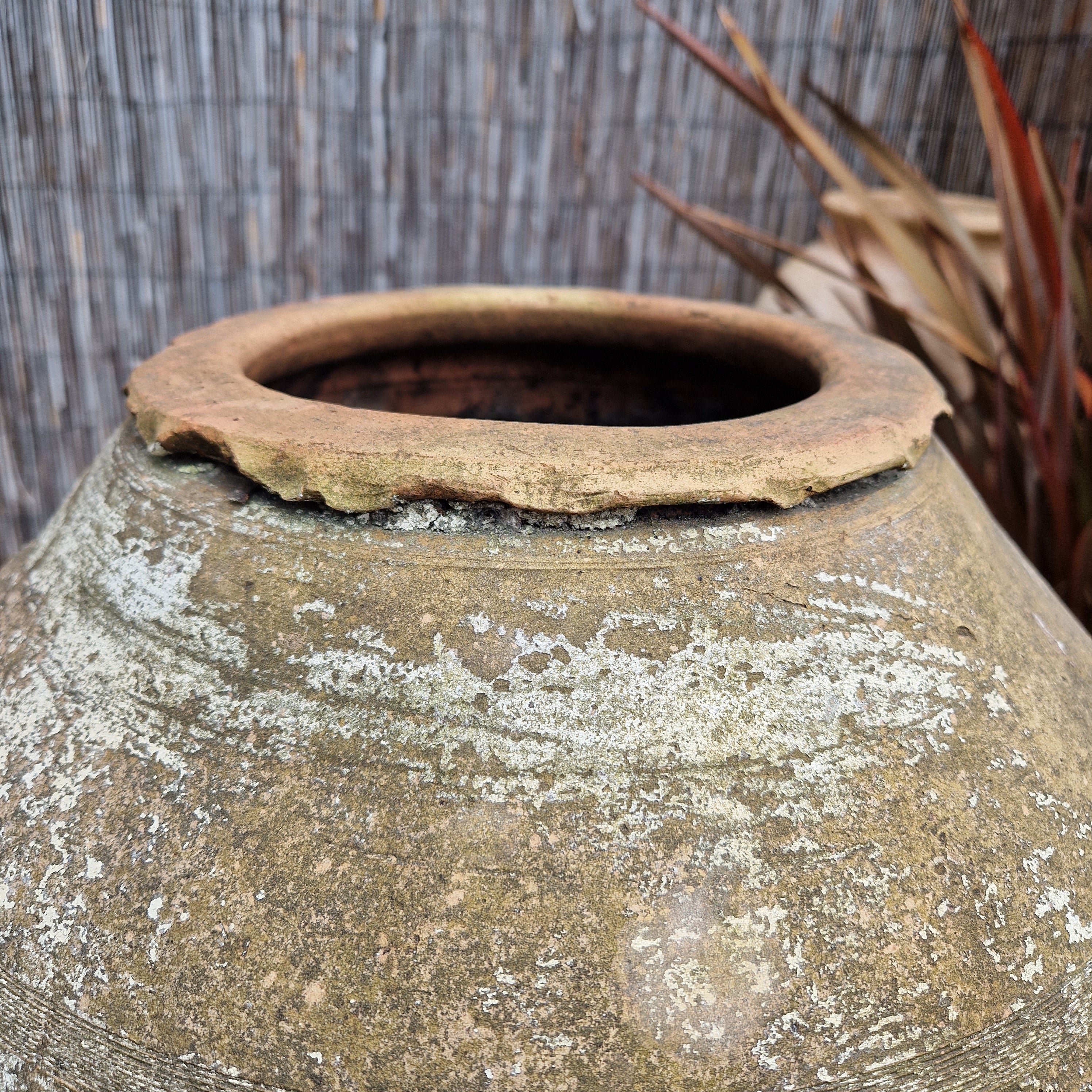 Antique Terracotta Urn on Stand 2 - Tom's Yard