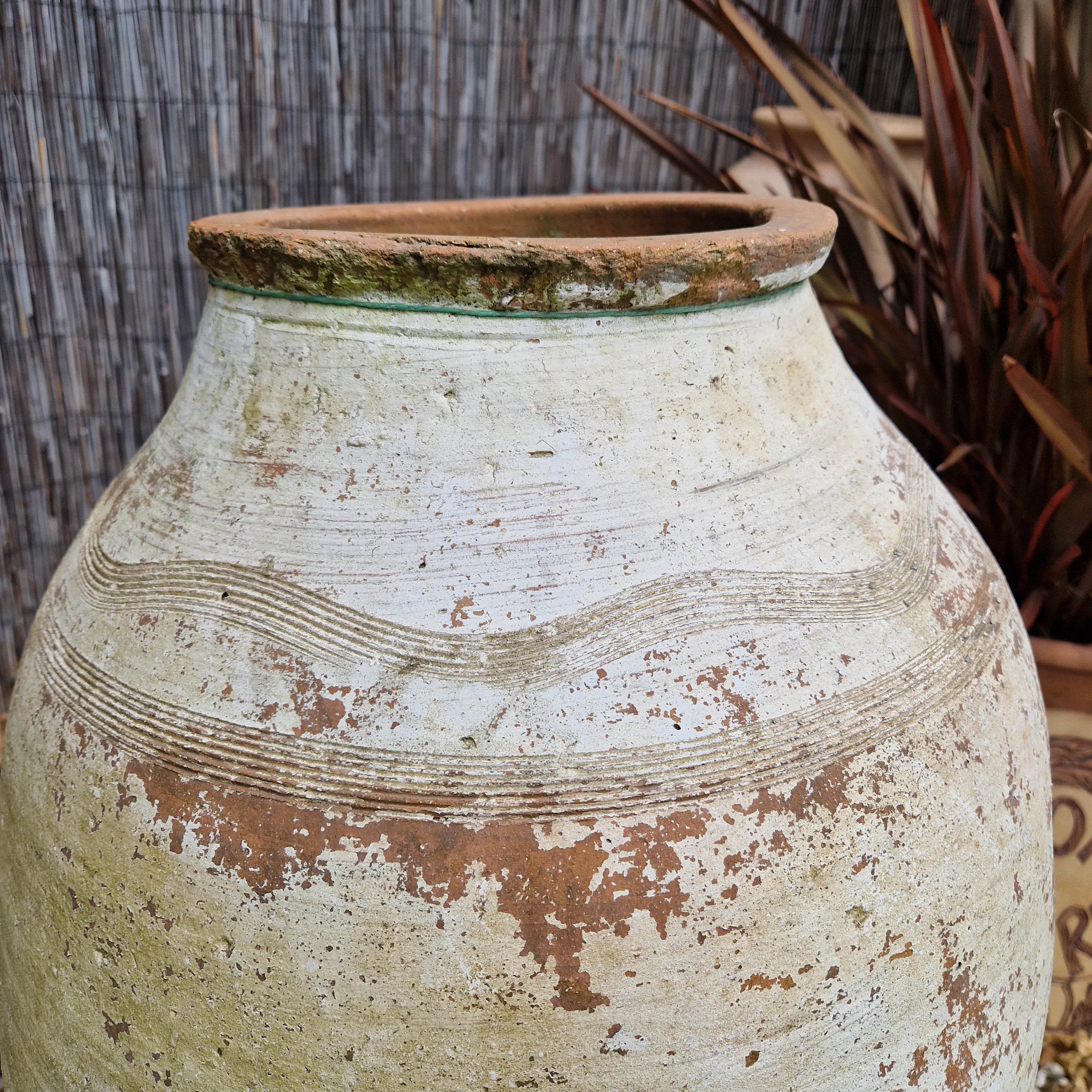 Antique Terracotta Urn on Stand 4 - Tom's Yard