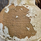 Antique Terracotta Urn on Stand 6 - Tom's Yard