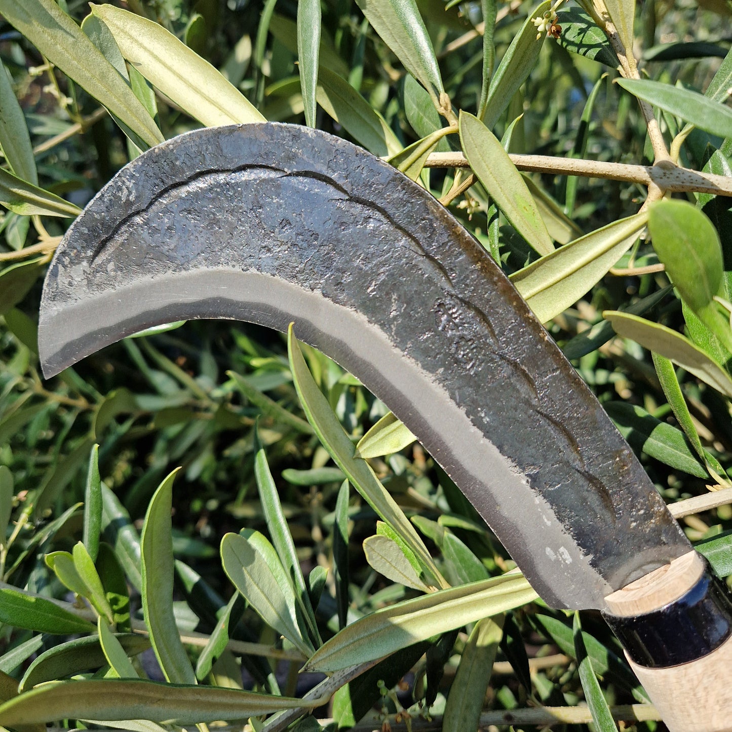 Niwaki Billhook - Tom's Yard