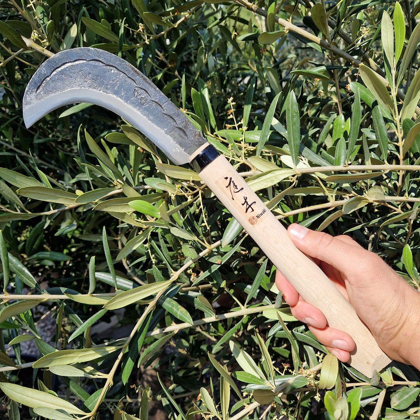 Niwaki Billhook - Tom's Yard