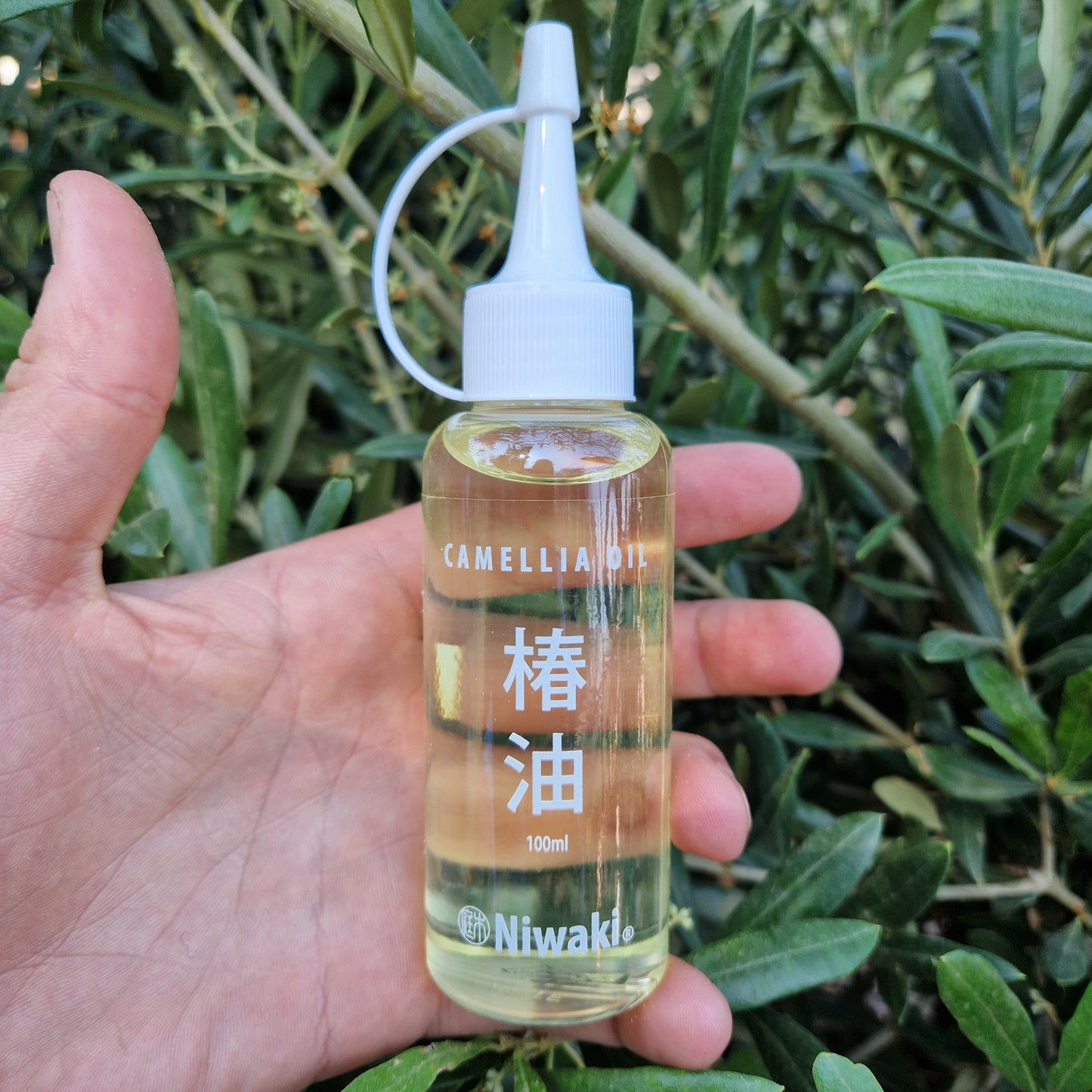 Camellia Oil - Tom's Yard