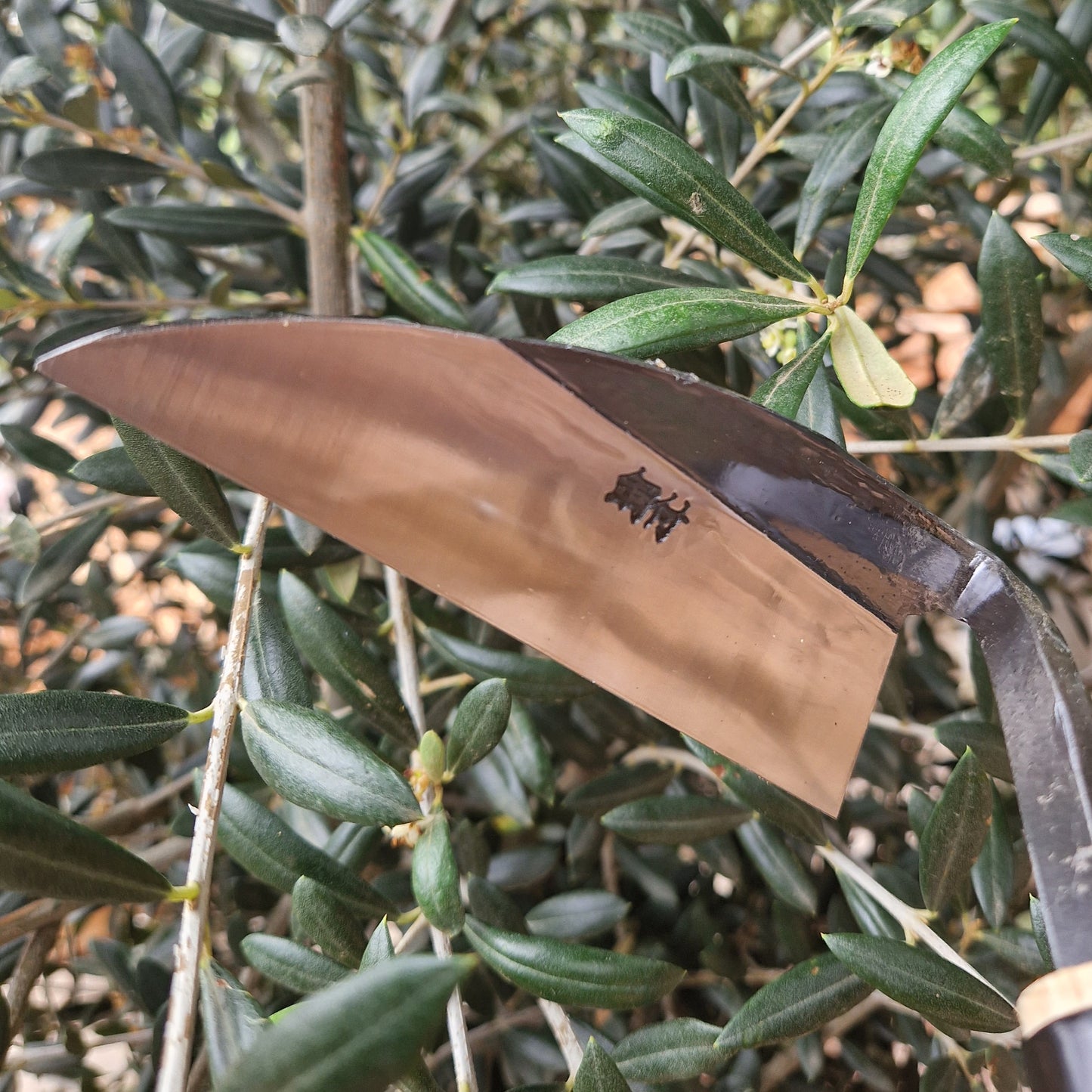 Niwaki Weeding Hoe - Tom's Yard