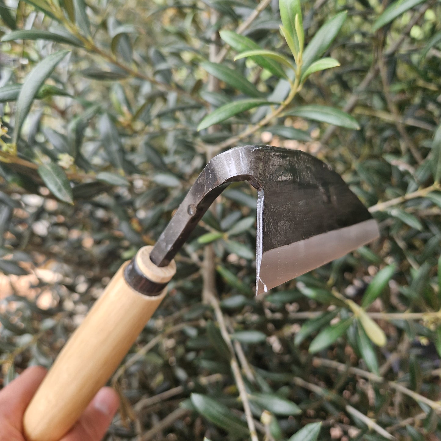 Niwaki Weeding Hoe - Tom's Yard