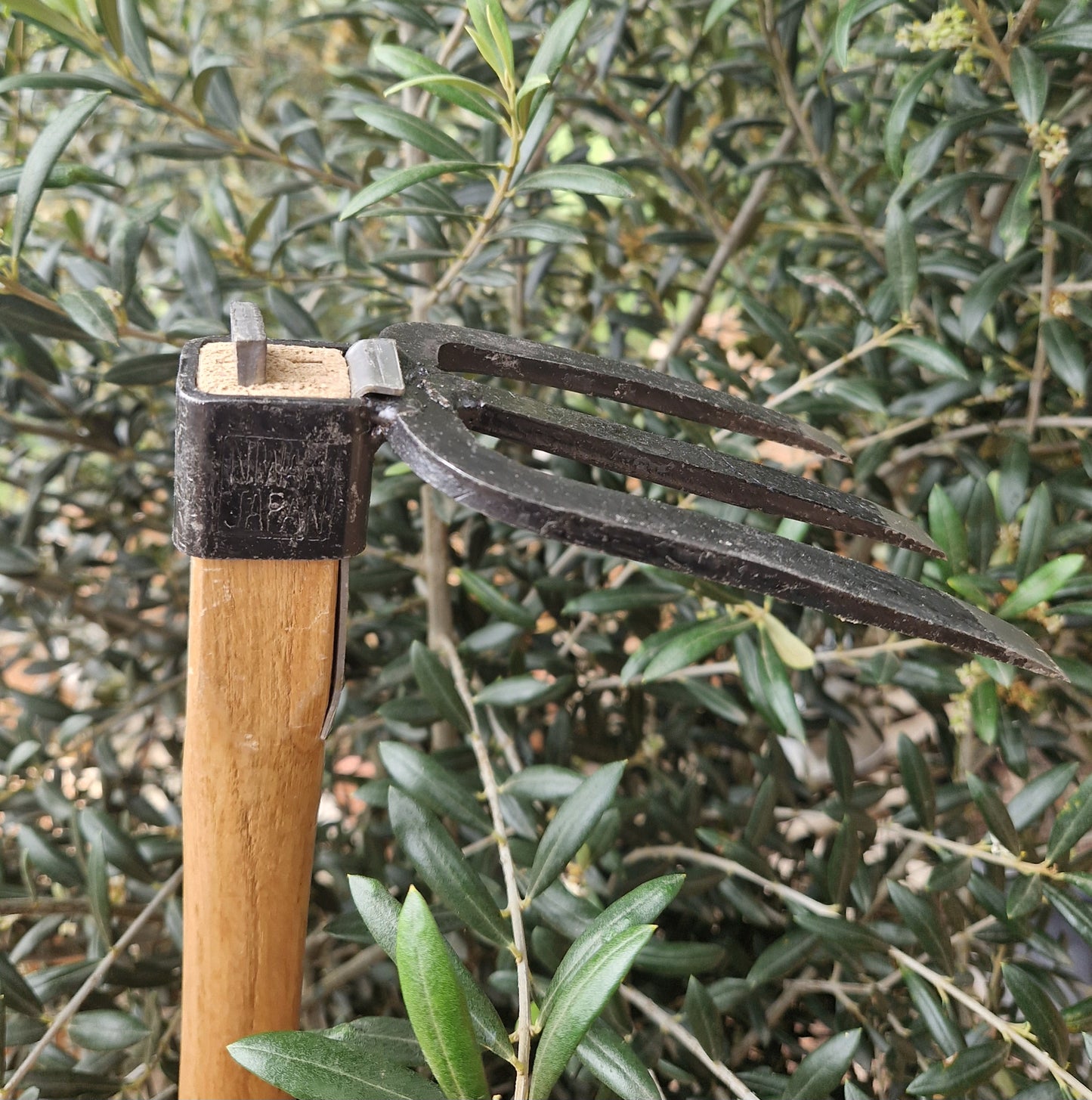 Niwaki Forked Hand Hoe - Tom's Yard