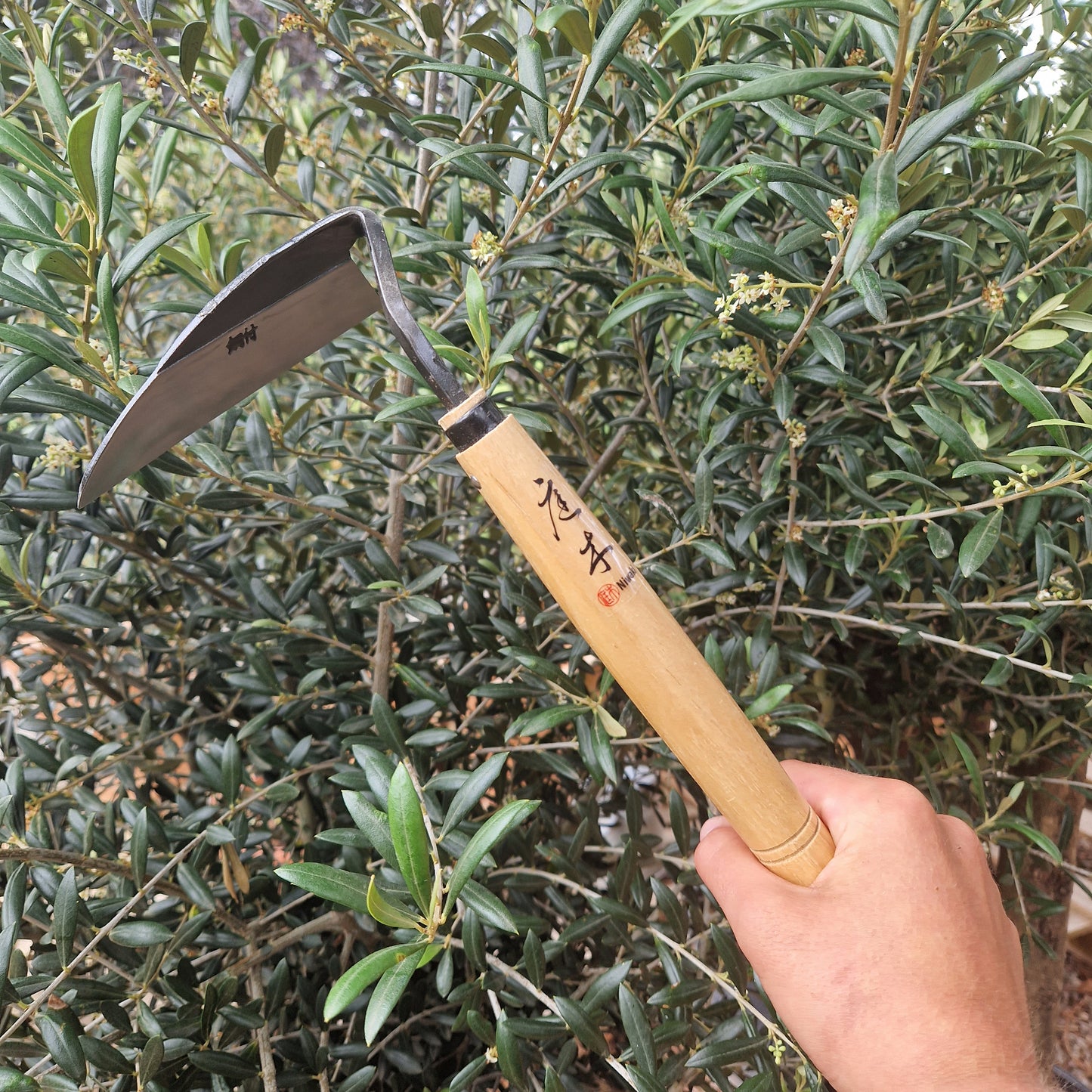 Niwaki Weeding Hoe - Tom's Yard