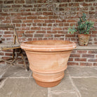 Classic Tapered Italian Terracotta Planters - Tom's Yard