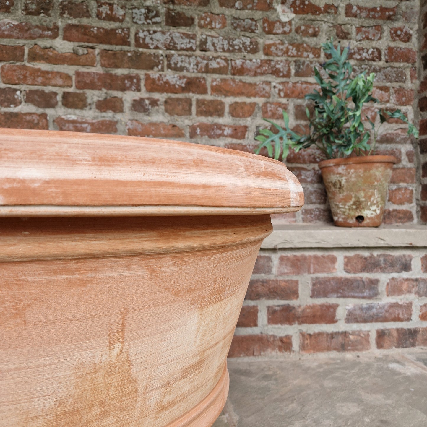Classic Tapered Italian Terracotta Planters - Tom's Yard