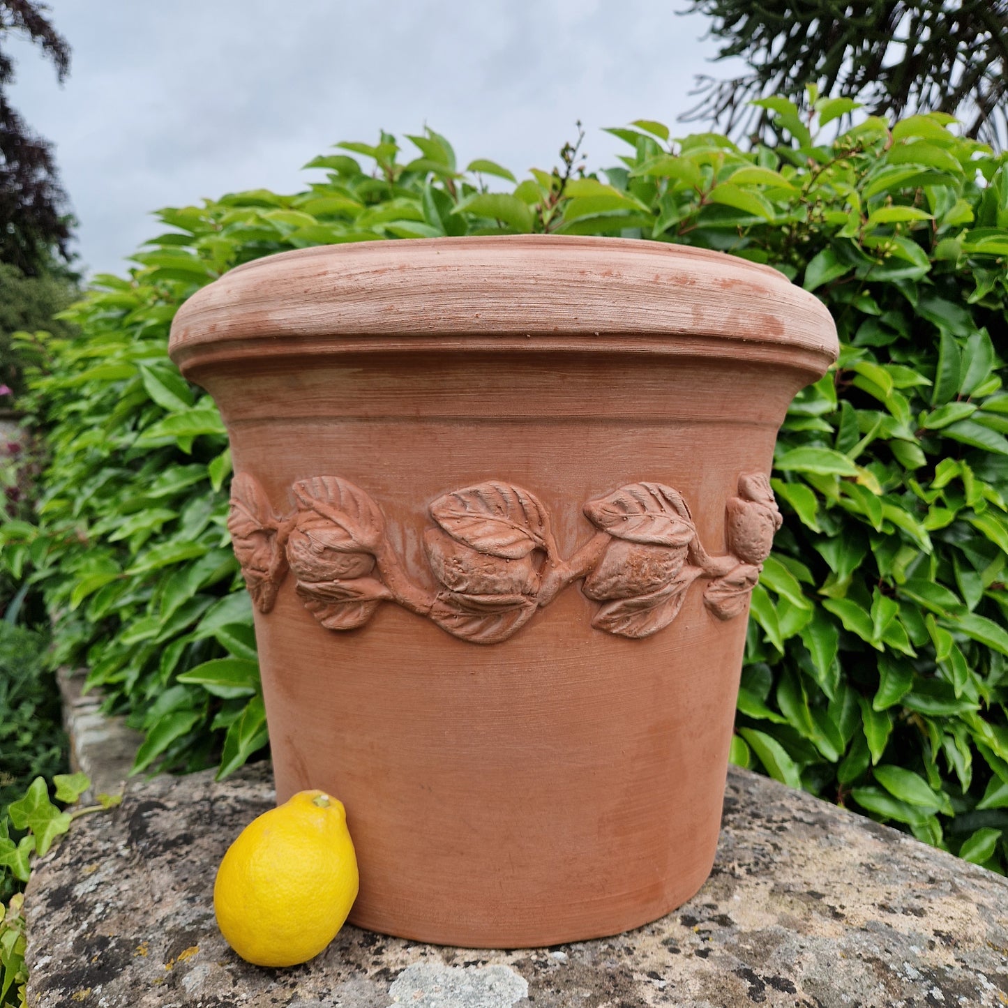 Italian Terracotta Citrus Pots - Tom's Yard