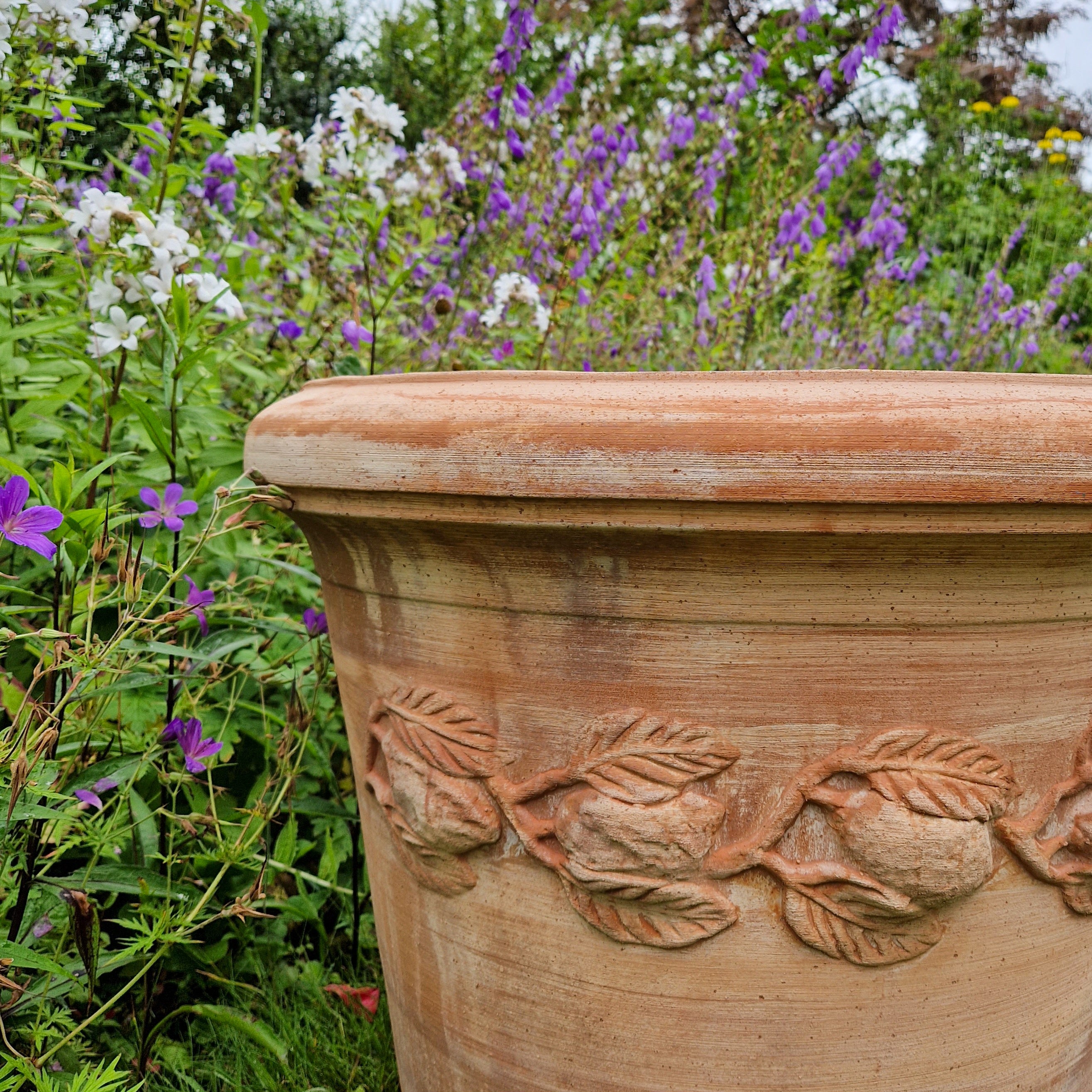 Italian Terracotta Citrus Pots - Tom's Yard