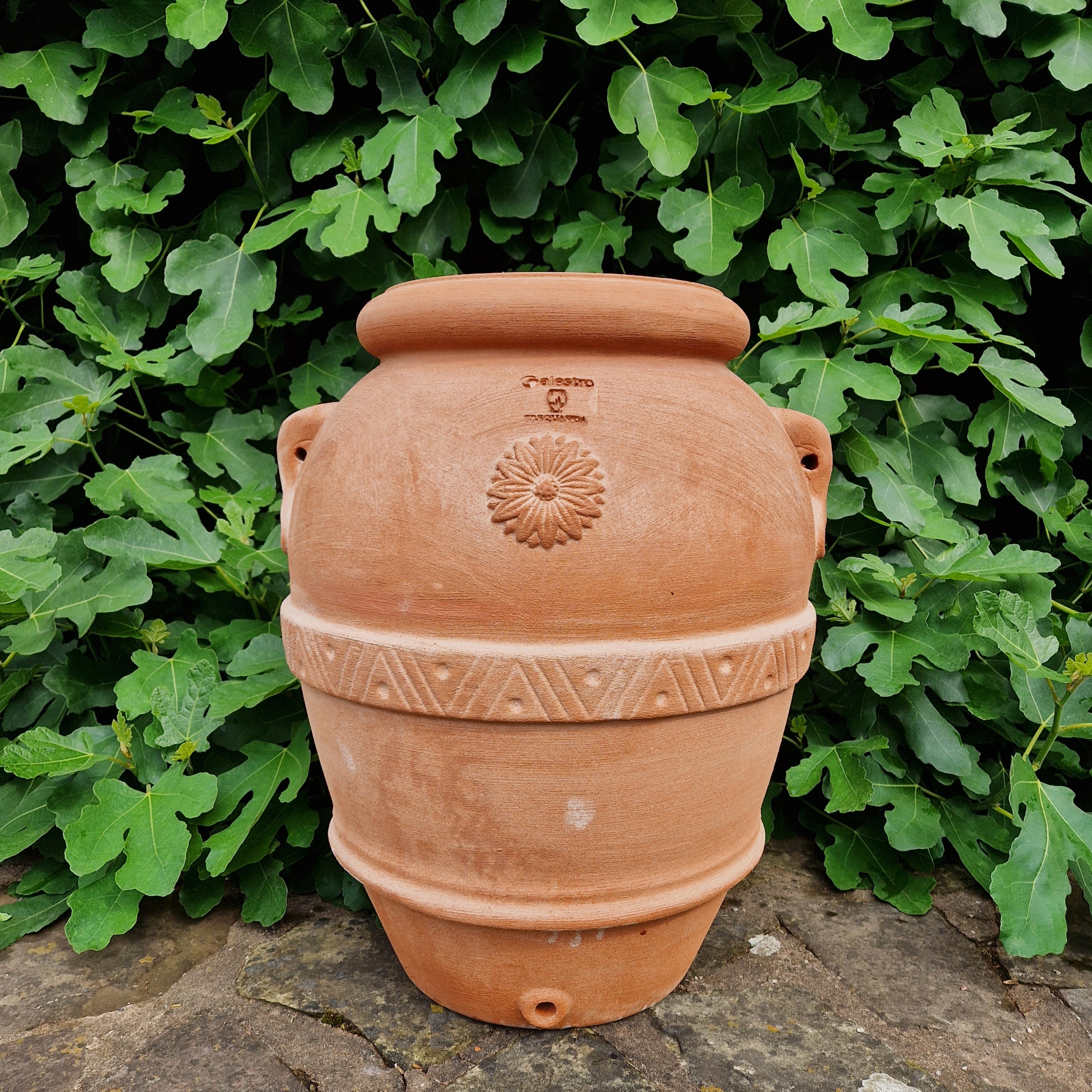 Traditional Italian Terracotta Orcio Jars - Tom's Yard