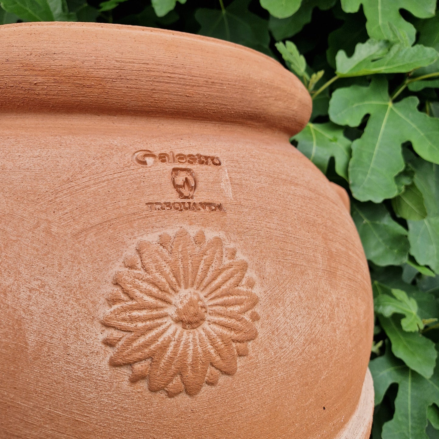 Traditional Italian Terracotta Orcio Jars - Tom's Yard