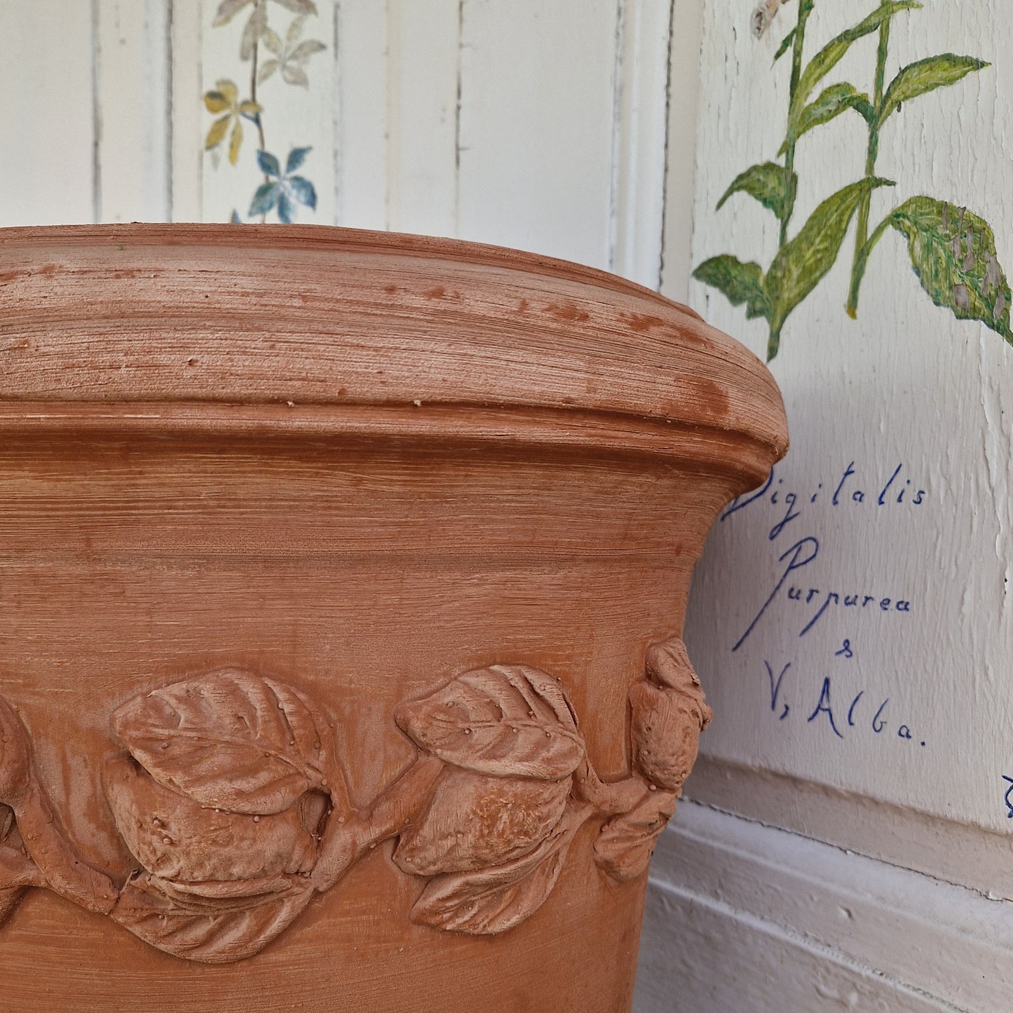 Italian Terracotta Citrus Pots - Tom's Yard