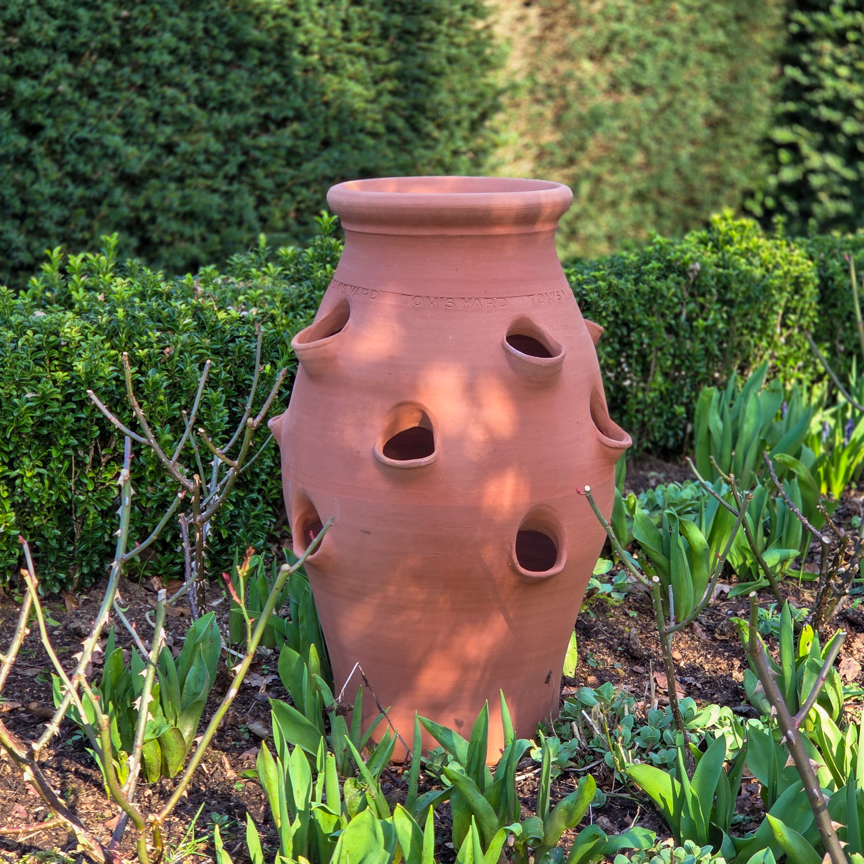 Tom's Yard XL Terracotta Strawberry Pot - Tom's Yard