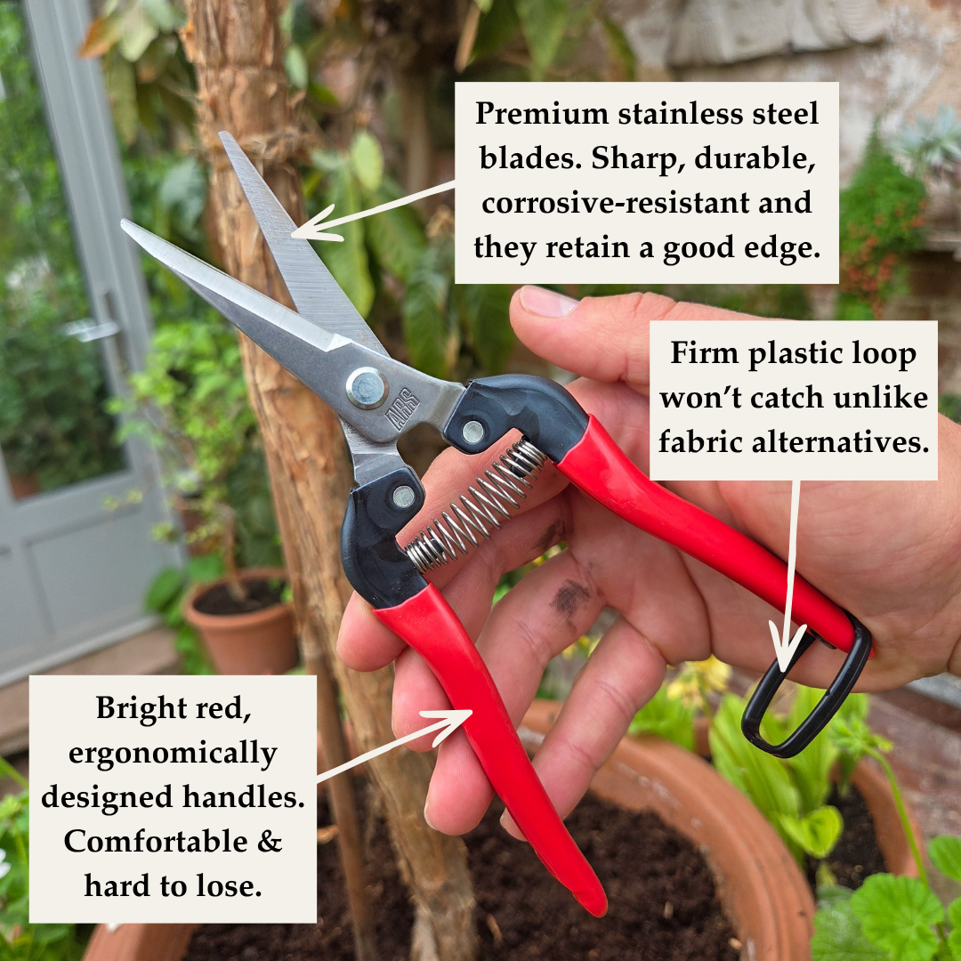 Premium Japanese Garden Snips - Tom's Yard