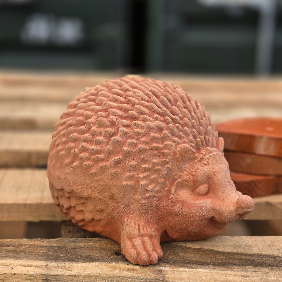 Harry The Hedgehog - Terracotta Statue - Tom's Yard