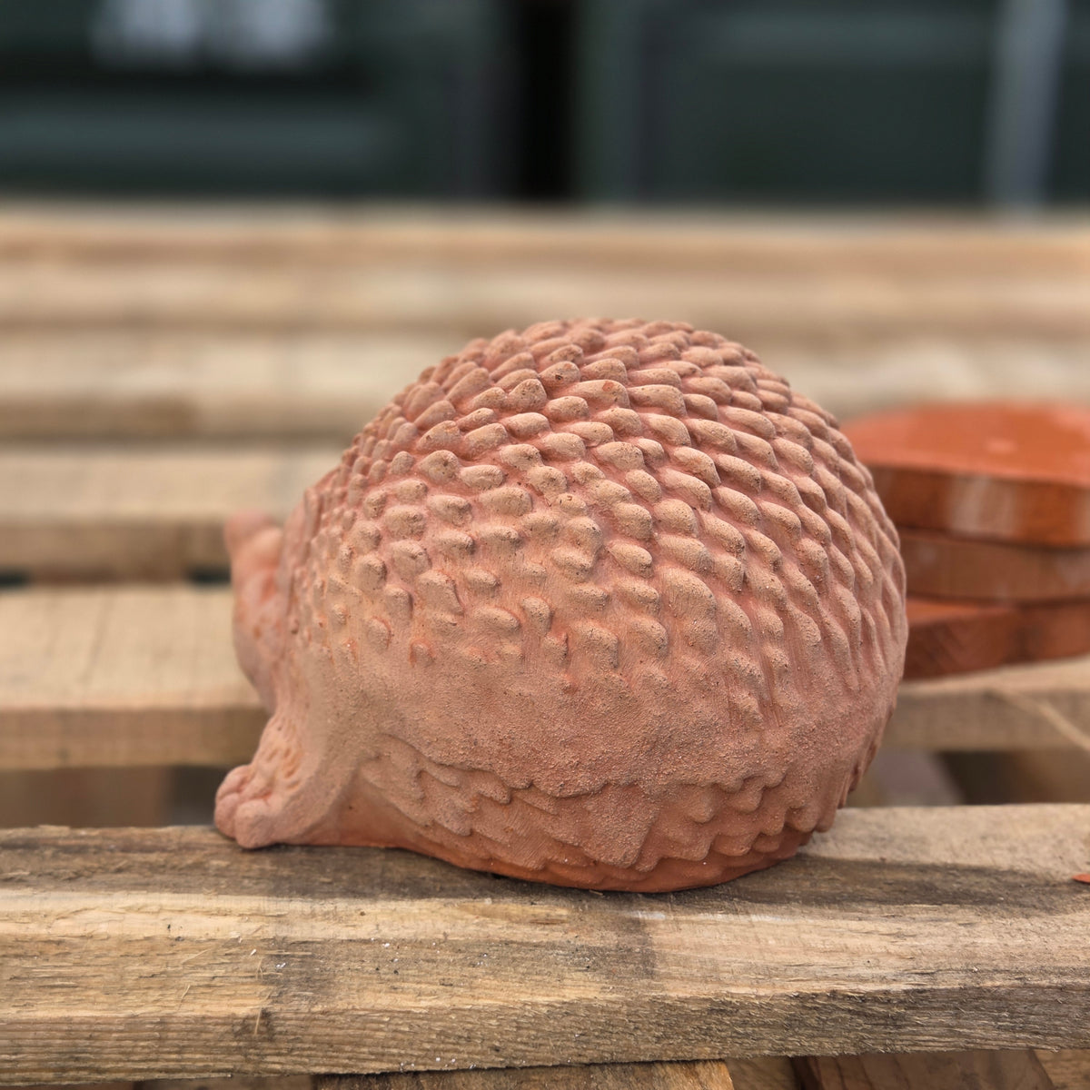 Harry The Hedgehog - Terracotta Statue - Tom's Yard