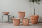 Francesca Campana Italian Terracotta Planter - Tom's Yard