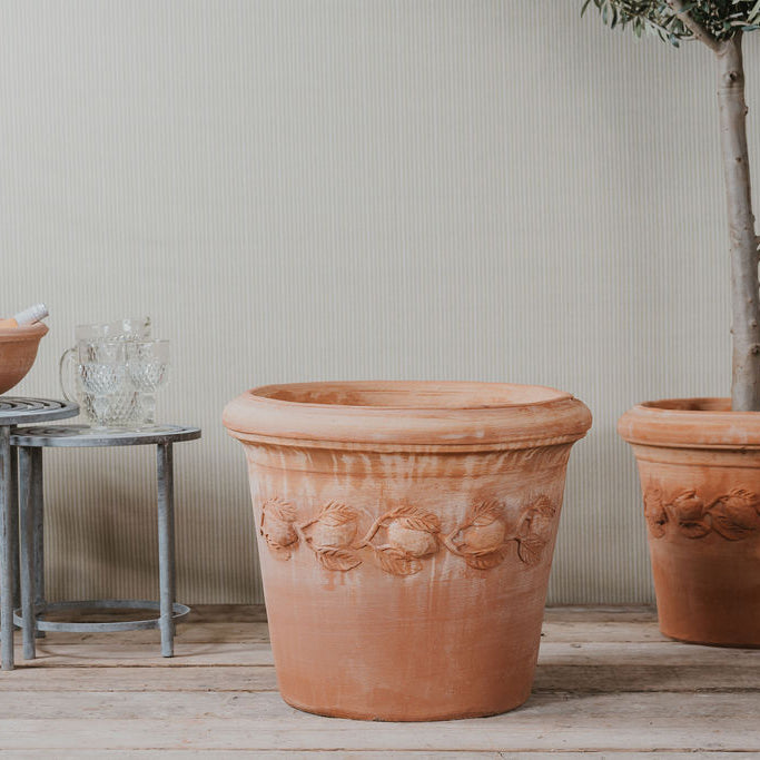 Italian Terracotta Citrus Pots - Tom's Yard
