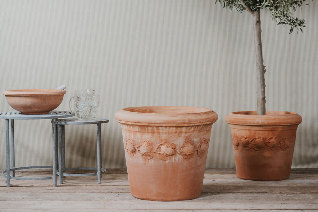 Italian Terracotta Citrus Pots - Tom's Yard
