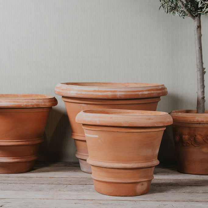 Imprunetino Liscio Italian Terracotta Planters - Tom's Yard